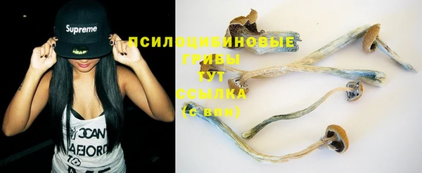мяу мяу мука Алексеевка