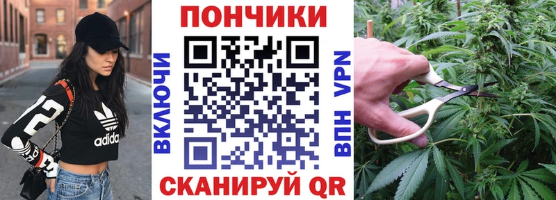 Бошки Шишки марихуана Малаховка